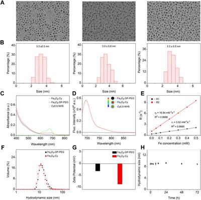 Frontiers | Exploring Atherosclerosis Imaging With Contrast-enhanced ...